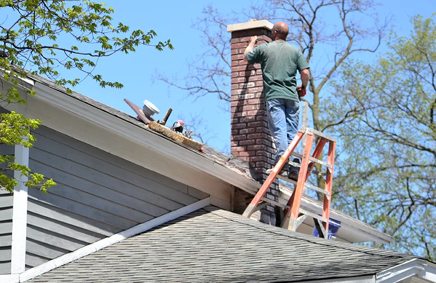 Chimney & Fireplace Inspections Services in Alexander City, AL